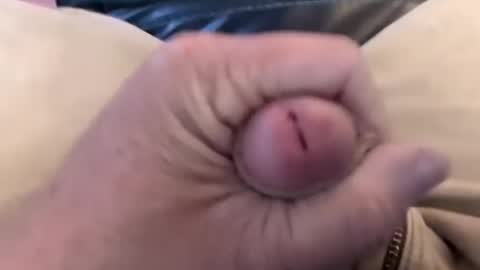 bobrossisalive online show from 10/14/25, 06:47