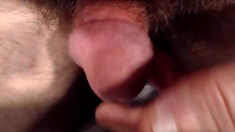 bobswan online show from 12/05/25, 05:09