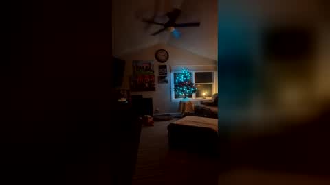 Snapshot of bodiddly64 chatting on 12/14/25, 06:19 bodiddly64 online show from 12/14/25, 06:19