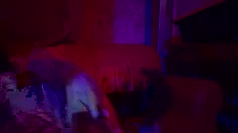 Sailorartemis online show from 04/26/26, 06:49