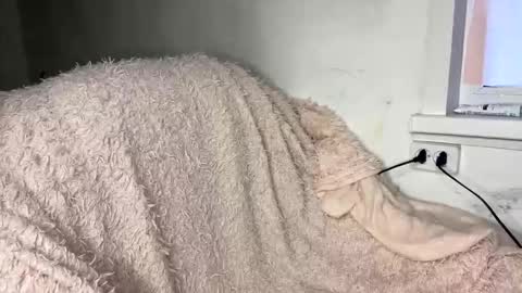 bohemia777 online show from 04/07/26, 01:33