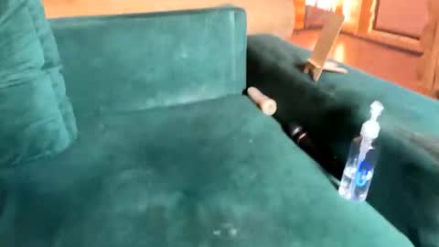 Snapshot of bohemianrhapsody1 chatting on 10/08/25, 10:35 Nail and Olivia online show from 10/08/25, 10:35