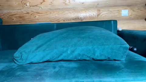 Snapshot of bohemianrhapsody1 chatting on 10/21/25, 09:10 Nail and Olivia online show from 10/21/25, 09:10