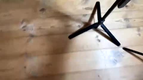 Snapshot of bohemianrhapsody1 chatting on 12/04/25, 10:57 Nail and Olivia online show from 12/04/25, 10:57