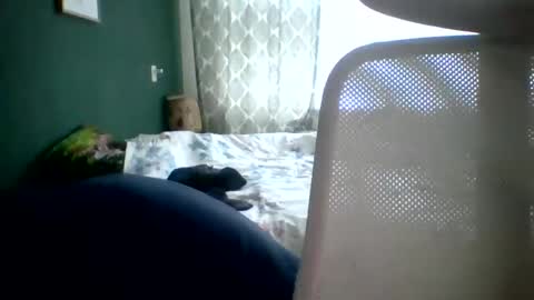 Snapshot of bomba8111 chatting on 01/20/25, 11:45 bomba8111 online show from 01/20/25, 11:45