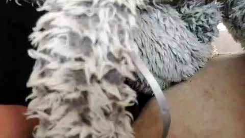 Bomberto online show from 02/10/25, 01:55