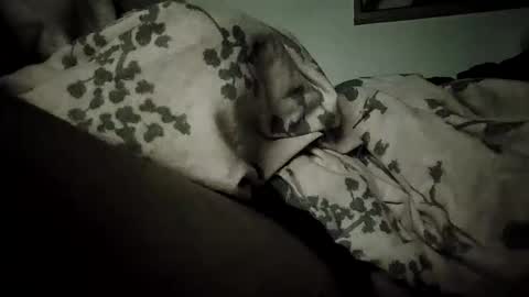 Bomberto online show from 02/19/26, 09:11