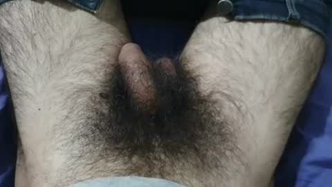 Snapshot of bomvemcam chatting on 06/27/26, 08:41 Im Bom - Tip if You Liked my Hairy Body - Private Show is Open - Read more about me in the bio below online show from 06/27/26, 08:41