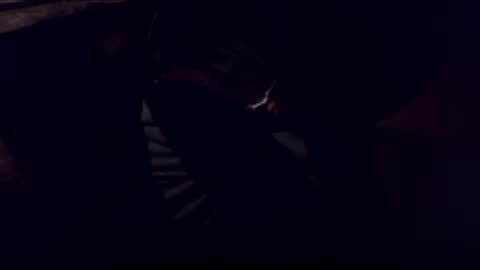 Bonkooooo online show from 02/08/26, 04:27