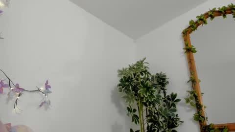   online show from 10/12/25, 11:48