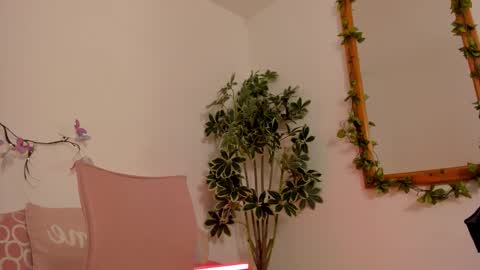   online show from 10/23/25, 12:32