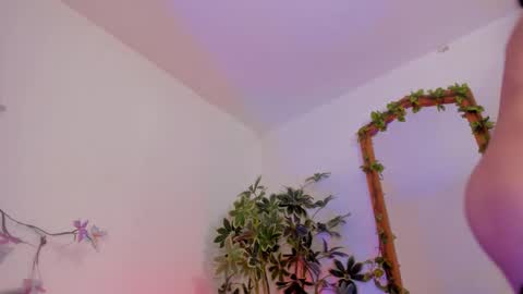   online show from 02/03/26, 02:53