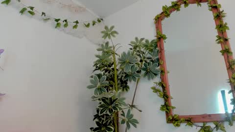   online show from 03/19/26, 11:53