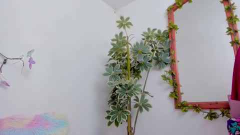   online show from 03/22/26, 11:30