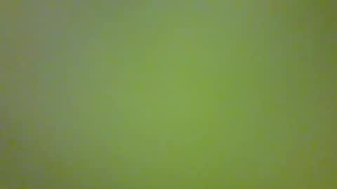 bonniediamond online show from 10/30/25, 06:52