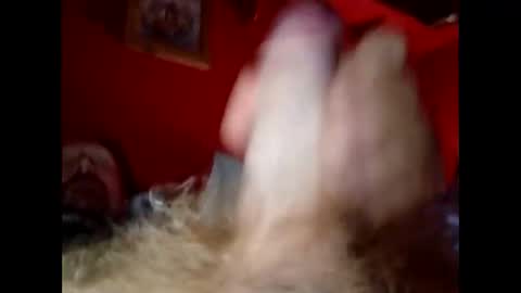 Snapshot of bonzoband chatting on 12/20/24, 10:05 bonzoband online show from 12/20/24, 10:05