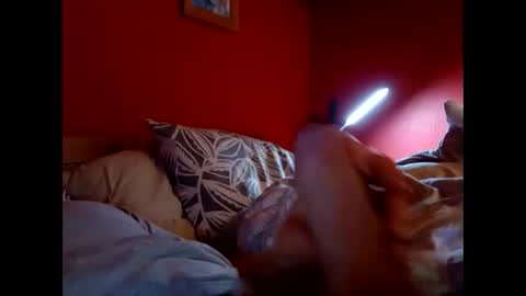 Snapshot of bonzoband chatting on 02/09/26, 11:25 bonzoband online show from 02/09/26, 11:25