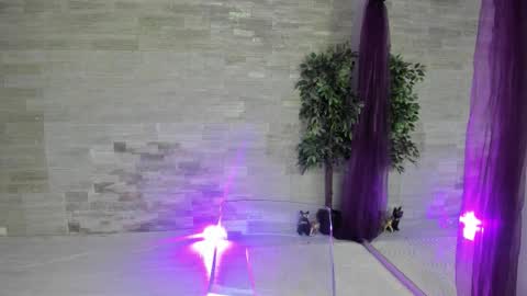 boobzilla_ online show from 02/02/26, 05:50