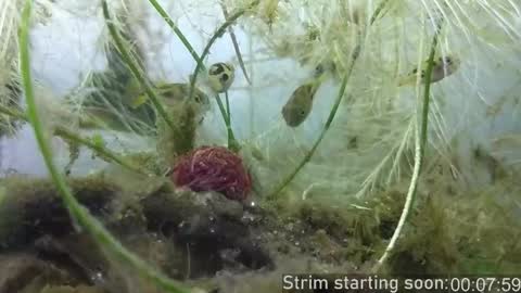 Snapshot of booker_baxton chatting on 10/24/25, 03:03 Booker Baxton online show from 10/24/25, 03:03