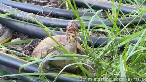 Snapshot of booker_baxton chatting on 10/30/25, 02:57 Booker Baxton online show from 10/30/25, 02:57