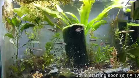 Snapshot of booker_baxton chatting on 11/04/25, 04:00 Booker Baxton online show from 11/04/25, 04:00