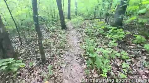 Snapshot of booker_baxton chatting on 11/05/25, 04:01 Booker Baxton online show from 11/05/25, 04:01