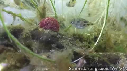 Snapshot of booker_baxton chatting on 11/06/25, 04:02 Booker Baxton online show from 11/06/25, 04:02