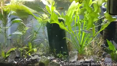 Snapshot of booker_baxton chatting on 11/09/25, 04:00 Booker Baxton online show from 11/09/25, 04:00