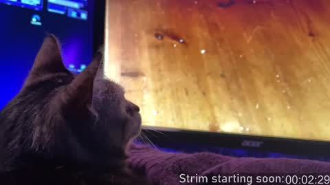 Snapshot of booker_baxton chatting on 11/16/25, 04:07 Booker Baxton online show from 11/16/25, 04:07