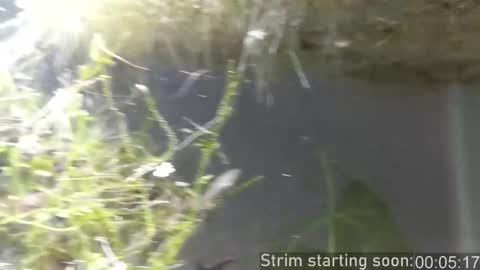 Snapshot of booker_baxton chatting on 11/27/25, 04:03 Booker Baxton online show from 11/27/25, 04:03