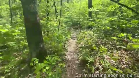 Snapshot of booker_baxton chatting on 11/29/25, 04:04 Booker Baxton online show from 11/29/25, 04:04