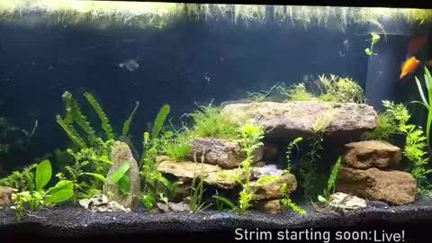 Snapshot of booker_baxton chatting on 12/04/25, 04:11 Booker Baxton online show from 12/04/25, 04:11