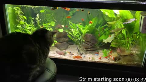 Snapshot of booker_baxton chatting on 12/05/25, 03:59 Booker Baxton online show from 12/05/25, 03:59