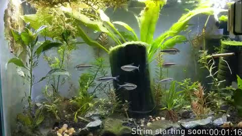 Snapshot of booker_baxton chatting on 12/16/25, 04:06 Booker Baxton online show from 12/16/25, 04:06