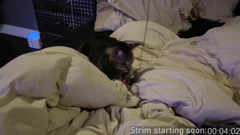 Snapshot of booker_baxton chatting on 12/17/25, 04:07 Booker Baxton online show from 12/17/25, 04:07