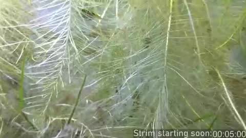 Booker Baxton online show from 02/11/26, 04:06