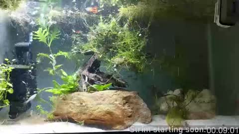 Booker Baxton online show from 02/22/26, 04:02