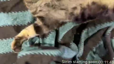 Booker Baxton online show from 03/15/26, 03:01