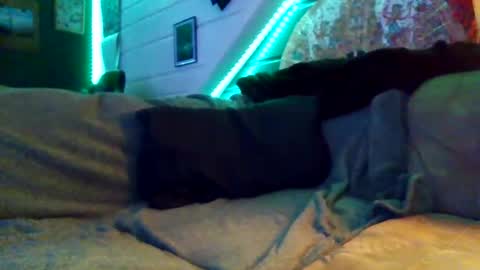 Bootsy online show from 04/19/26, 09:06