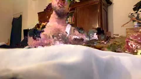 BoYYYOOO online show from 04/15/26, 07:58