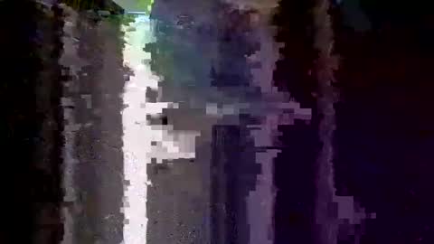 boredaf6678 online show from 12/05/25, 01:25