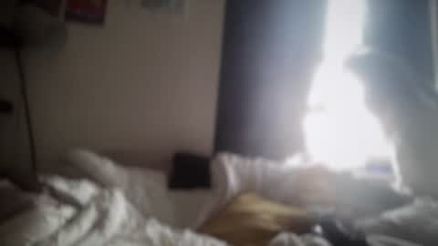 borkaa777 online show from 06/20/26, 10:07