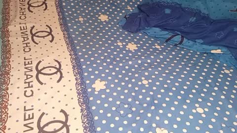 bossetassy online show from 04/09/26, 04:01