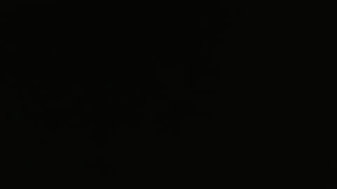 Snapshot of bossram160 chatting on 02/05/25, 10:08 bossram160 online show from 02/05/25, 10:08