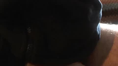 Snapshot of bossram160 chatting on 03/06/25, 09:36 bossram160 online show from 03/06/25, 09:36