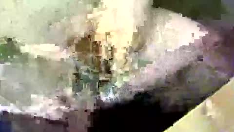 Snapshot of bossram160 chatting on 09/17/25, 08:21 bossram160 online show from 09/17/25, 08:21