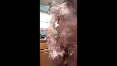 bossusaround online show from 01/11/26, 10:04