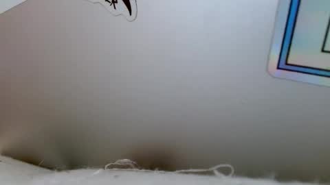 Snapshot of bottom_boiz chatting on 12/18/24, 04:06 Rue online show from 12/18/24, 04:06