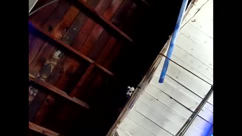 Snapshot of bouncr714 chatting on 02/26/26, 07:46 bouncr714 online show from 02/26/26, 07:46