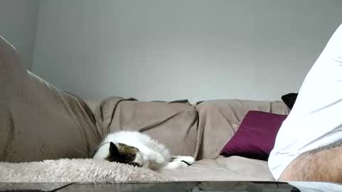 Dan online show from 04/15/26, 01:29